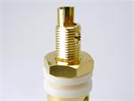 binding post / jack - James Audio design
