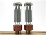 SVEL34 / EL34 SED 